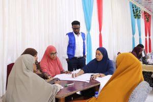 Advancing Women’s Security: Somali Girls Rights Development Organisation Participates in W2WS System Mapping Workshop